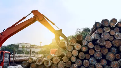 Photo of a crane picking up tree logs at a wood processing factory